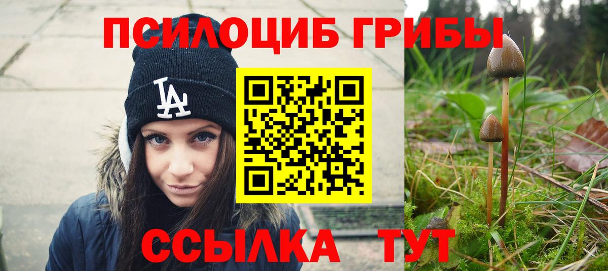 Псилоцибиновые грибы Psilocybine cubensis Выкса