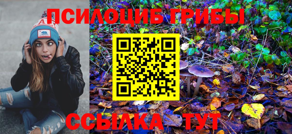 Выкса  Галлюциногенные грибы мухоморы  Вход с VPN 