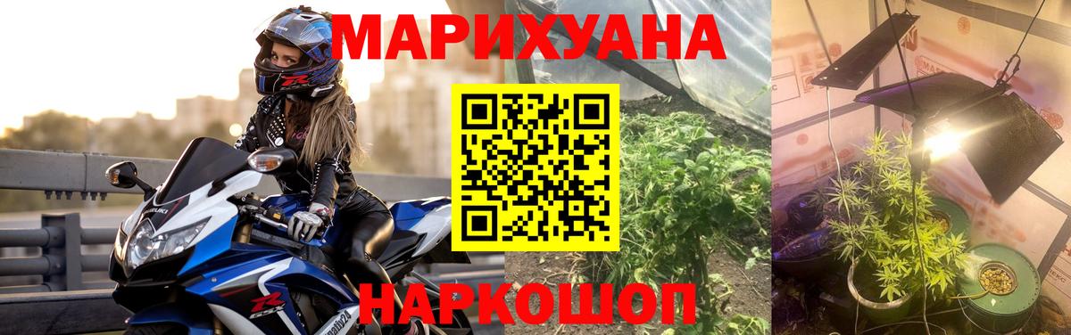 Каннабис гибрид  Канабис Bruce Banner  Выкса  Канабис гибрид  Вход с VPN 